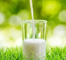 Hot Milk