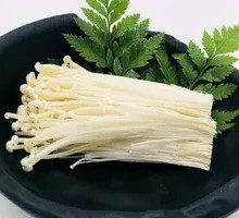 Enoki Mushroom