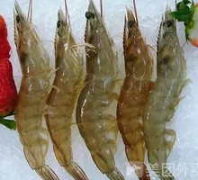 Fresh Shrimp