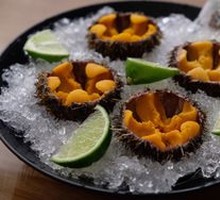 Sea Urchin