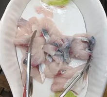 Fresh Live-Caught Bullfrog