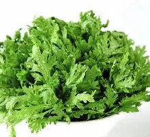 Chinese chrysanthemum greens