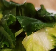 Oilseed lettuce