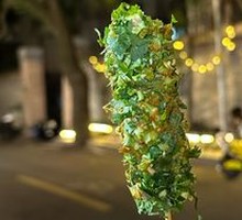 Coconut Milk and Cilantro Dish