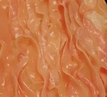 Signature Goose Intestine