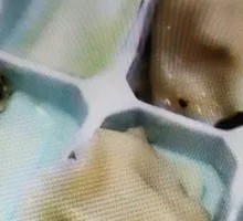 Water Chestnut Dumplings