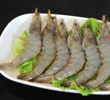 Fresh Shrimp