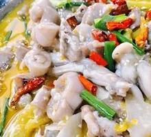 Pickled Pepper Live Frog