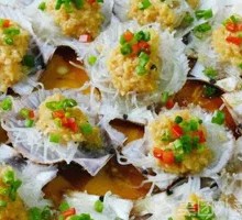 Scallop