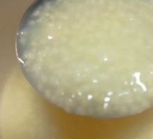 Stomach-Healthy Millet Porridge