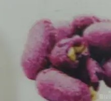 Purple Sweet Potato and Pea Pie