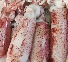 Steamed Baby Octopus