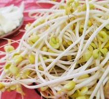 Mung Bean Sprouts
