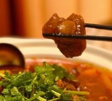 Braised Fresh Beef Tendon