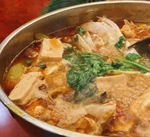 Signature Organic Fish Head