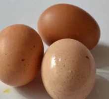 Boiled Egg