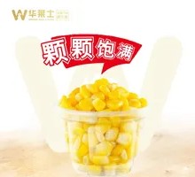 Corn Cup