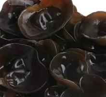 Wood Ear Mushroom