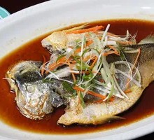 Steamed Yellow Croaker