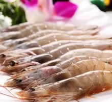 Fresh Shrimp