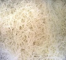 Clear Soup Noodles