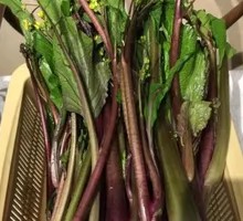 Red Mustard Greens