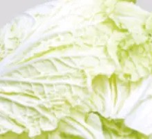 Chinese cabbage