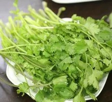 Cilantro