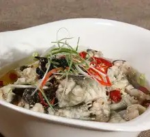 跳水牛蛙
