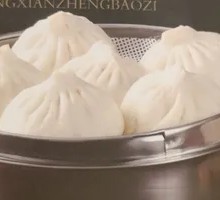 Pork and Scallion Dumplings