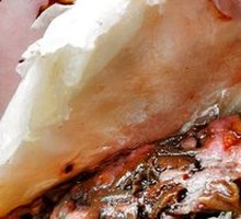 Donkey Intestine Baozi