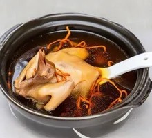 Day-by-Day Tianma Milk Pigeon Soup