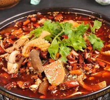 Premium Maoxuewang
