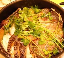 Tilapia