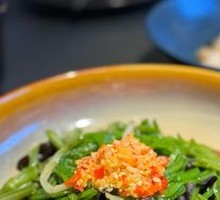 Stir-fried Tofu Salad