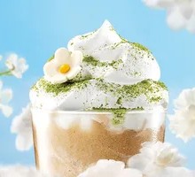Starbucks Camellia Blossom