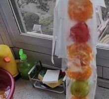 Explosive Fruit Ice Sugar Cane