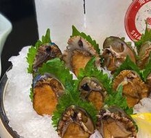 Bohai Abalone