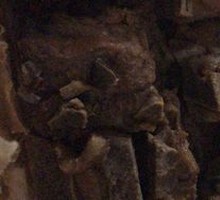 Sauce-Dried Pork Ribs