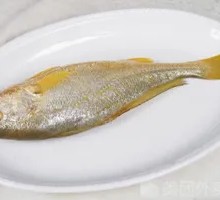 Yellow Croaker