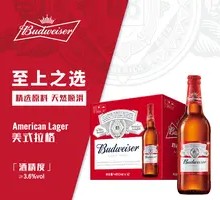 Budweiser Bottled Beer