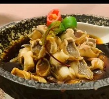 Flavorful Horn Snail