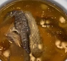 Sea Horse Old Pigeon Soup