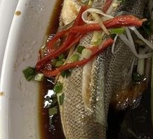 Steamed Sea Bass