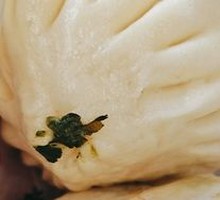 Vegetarian Dumplings