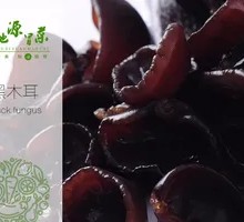 Black Wood Ear Mushroom