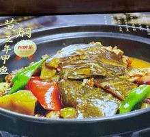 Stewed Five-Year Turtle with Yellow Sauce