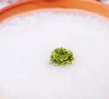 Slow-Cooked White Rice Porridge