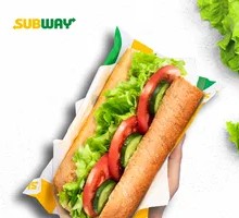 Colorful Vegetable Sandwich