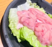Fresh Pig Brain